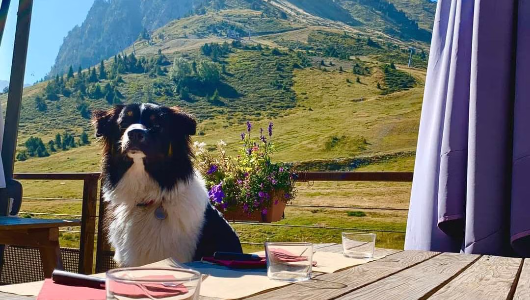 Bon à savoir